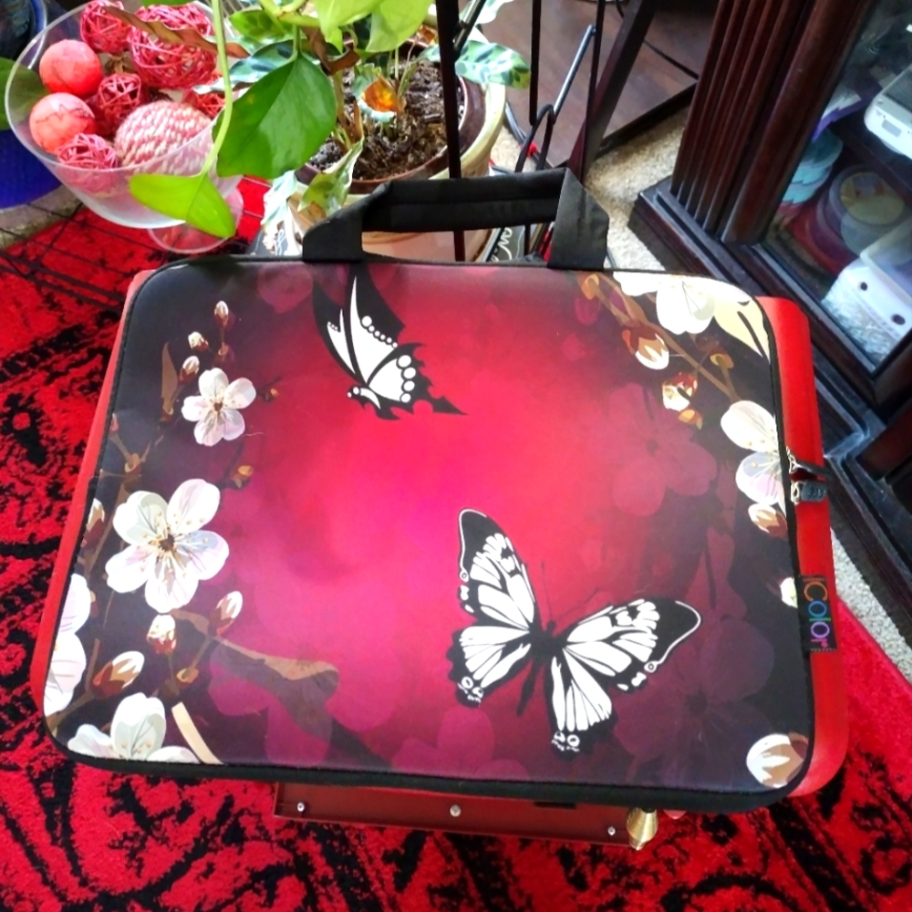 Laptop/pad holder case